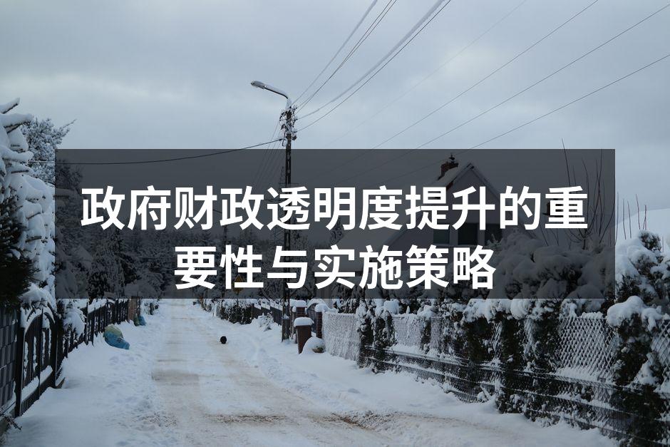 政府财政透明度提升的重要性与实施策略