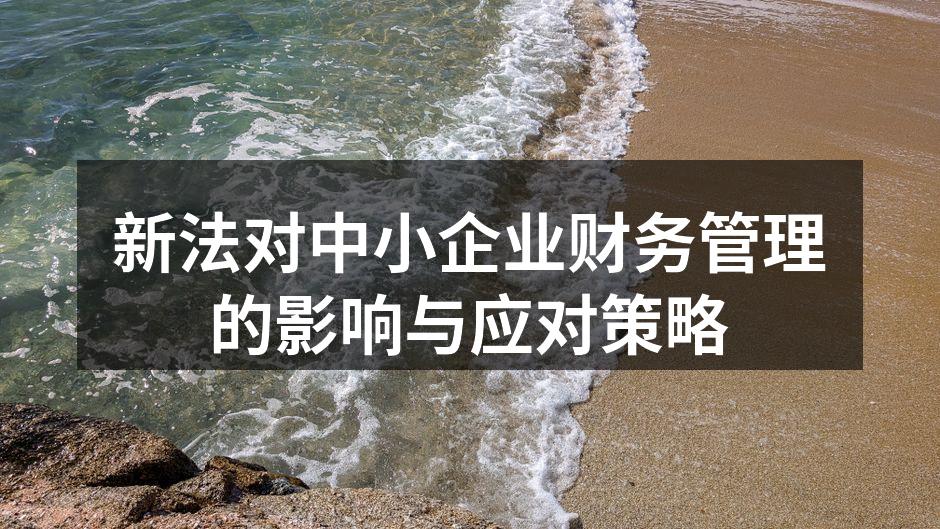 新法对中小企业财务管理的影响与应对策略